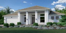Coastal Elevation